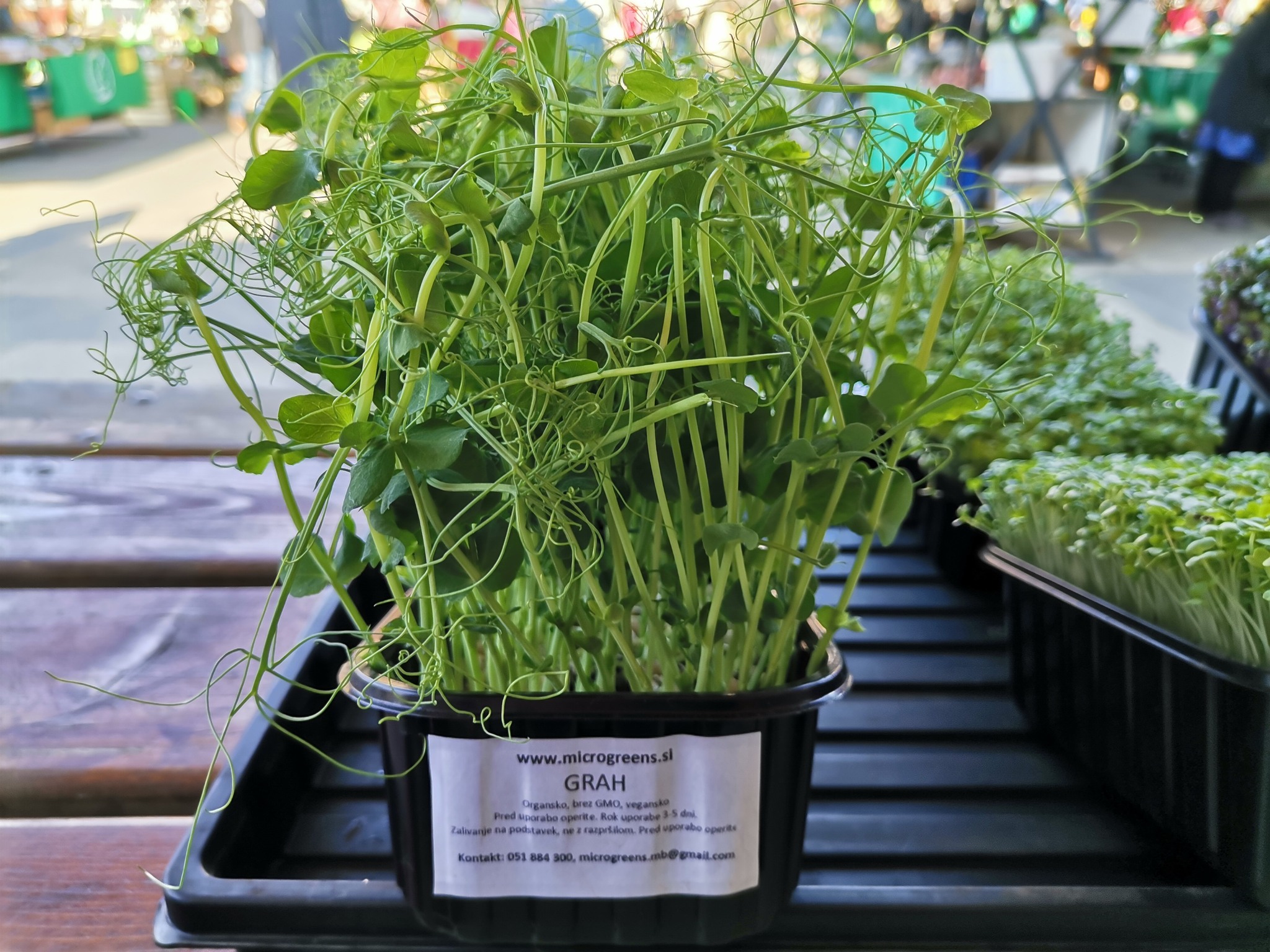 Microgreens